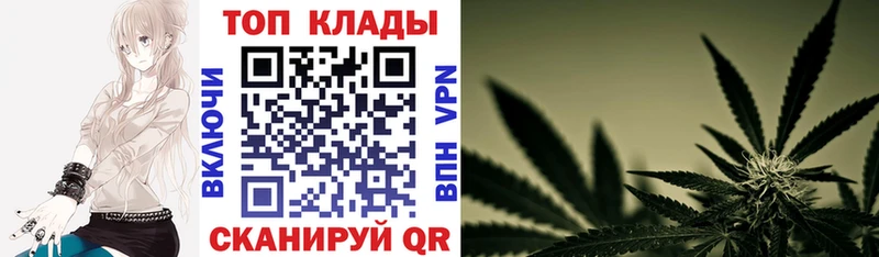 Купить закладку Бошки Шишки  Cocaine  ГАШИШ  Мефедрон  Зеленоградск