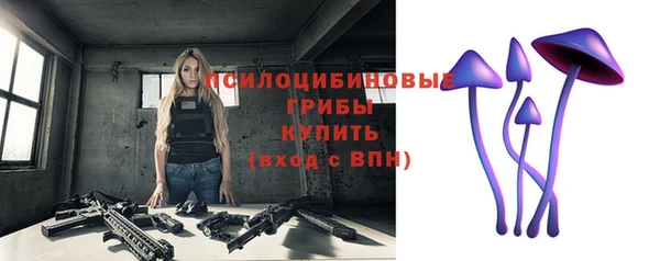 не бодяженный Инсар