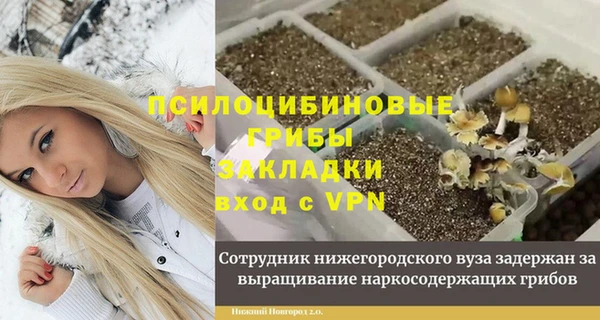 apvp Инта