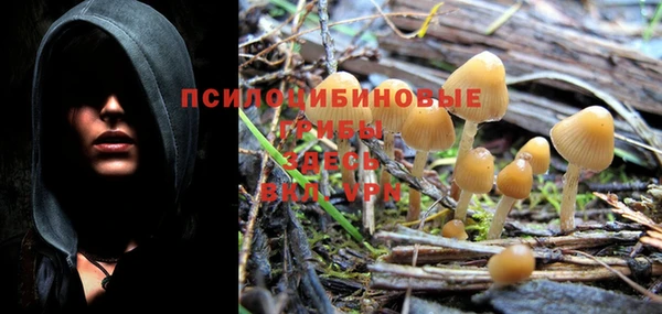 не бодяженный Инсар