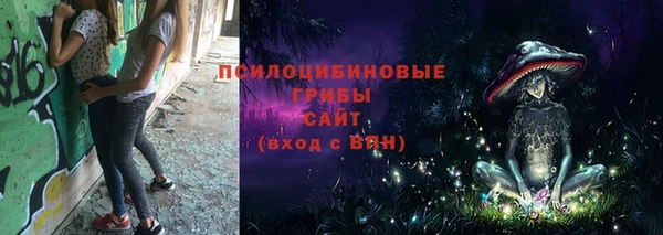 apvp Инта