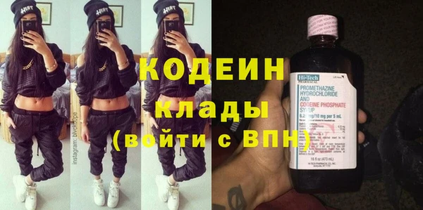 apvp Инта