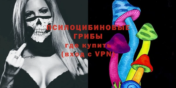 apvp Инта