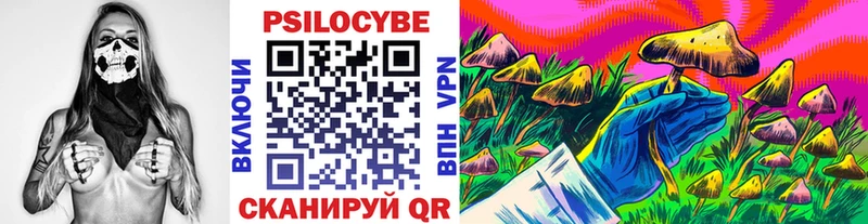 Купить где  Зеленоградск  Псилоцибиновые грибы Psilocybe 